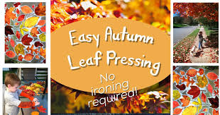 Easy Autumn Leaf Pressing No Ironing