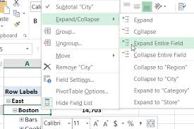 expand and collapse pivot table fields
