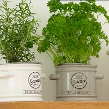 herb plant pots t g woodware