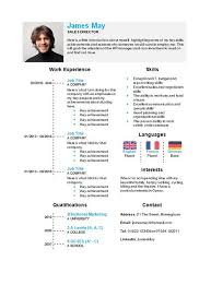 Timeline Cv Template In Microsoft Word How To Write A Cv