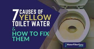 7 Causes Of Yellow Toilet Water How