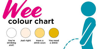 Show The Kids This Wee Colour Chart Teach Them To Recognise