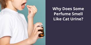 why does some perfume smell like cat urine