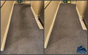 commercial carpet cleaning seattle wa