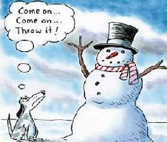 Funny Snowman Carrot Nose Pictures - Funny Jokes