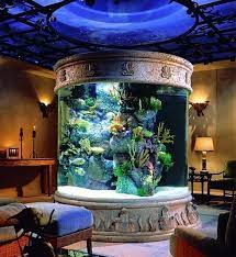 Home Fish Aquarium Design gambar png