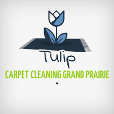tulip carpet cleaning grand prairie