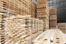 Nhà máy chế biến gỗ Nghệ An và ưu thế trong sản xuất ván ép thanh