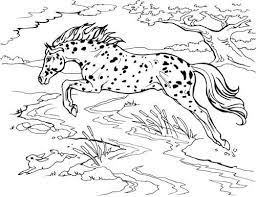 This is a great collection of horse coloring pages. Jumping Horse Coloring Page Breyerhorses Com