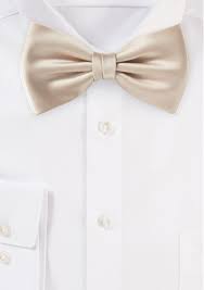We did not find results for: Champagne Gold Mens Bow Tie Mens Ties Com