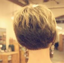 A mullet haircut has very short hair on the sides with long hair in the back. Back View Of Short Haircuts