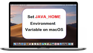 set java home environment variable
