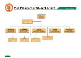 Organization Chart Student Affairs The University Of