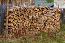 Use Seasoned Firewood Southern Md
