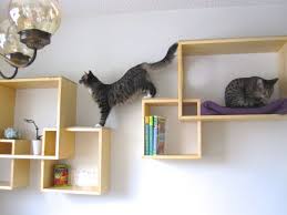 Cat Wall Furniture Diy Cat Shelves