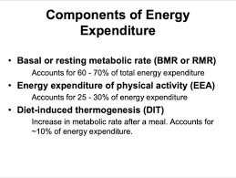 Med 3 Energy Balance Requirements