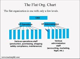 Business And Finance Lesson 7 Organizational Chart Tall Or Flat Learn English