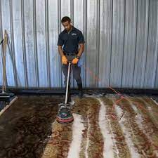 sarasota carpet cleaning 825 n lime