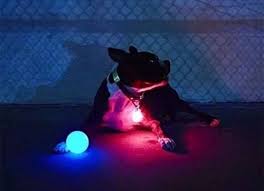Hot Original Glow Streak Led Dog Ball Lights Up For Night Play Meteor Light Ball Ebay Dog Ball Dog Toy Ball Dog Leads