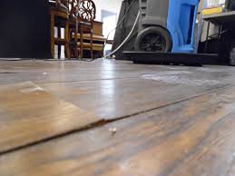 Water damage insurance claims are very difficult to handle. Pipe Leak Insurance Claim Public Adjuster Tampa Liberty Adjusters