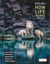 biology how life works 4th edition
