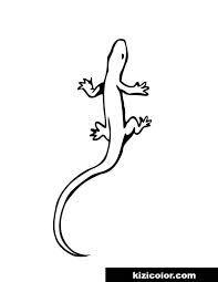 Supercoloring.com is a super fun for all ages: Printable Lizard Free Print And Color Online