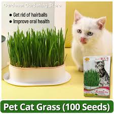Organic Natural Pet Cat Grass Seeds