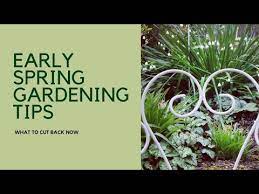 Early Spring Garden Tips Tour Get