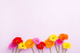 flowers for desktop background
