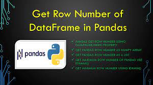 pandas get row number of dataframe