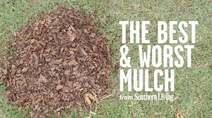 worst mulch for your garden