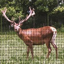 Deer Netting Gardening Naturally