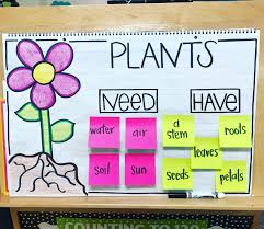 Simple Plants Anchor Chart Plant Lessons Kindergarten