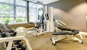 carpet cleaning for gyms athletic