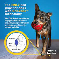 dog grippers for senior dogs