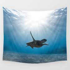 Skull Sea Turtle Underwater World Swim