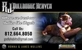 home page rj s bulldogge heaven