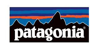 Image result for patagonia
