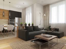 dark gray sofa interior design ideas