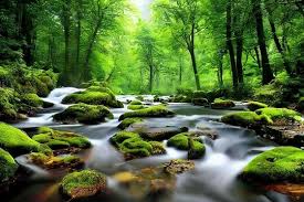 nature wallpaper hd images browse 82