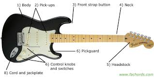Kurt began playing guitar at the age of nine in kalamazoo, michigan. Yf 3730 Need To Know The Parts Of The Electric Guitar Schematic Wiring
