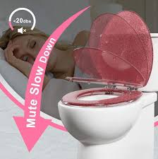 Resin Toilet Seat Elongated Soft Close