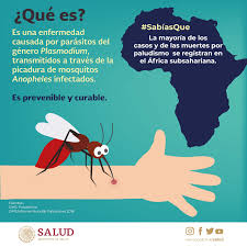 Secretaría de Salud - La mayoría de los casos y de las muertes por paludismo se registran en el África subsahariana. #DíaMundialDelPaludismo | Facebook