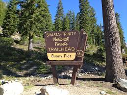 California: Want to run away? Go to Mount Shasta! Alone. – Lupitanews.com
