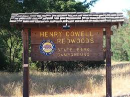 Es kann wohnmobile bis zu 35 fuß länge und anhänger bis zu 31. Henry Cowell Redwoods State Park Fotos Facebook