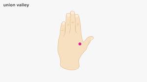 Pressure Points For Anxiety 6 Points To Try For Relief