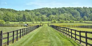how-many-acres-does-a-horse-need