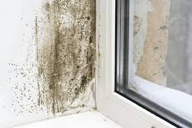 Mould And Mildew Blog Envirovent