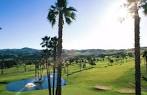 Palm at Sunol Valley Golf Course in Sunol, California, USA | GolfPass