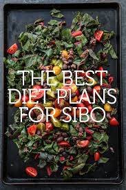 sibo ts and lifestyle changes